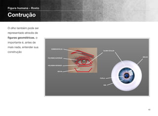 O olho também pode ser
representado através de
ﬁguras geométricas, o
importante é, antes de
mais nada, entender sua
construção
Figura humana - Rosto
Contrução
40
SOMBRANCELHA
PÁLPEBRA SUPERIOR
GLOBO OCULAR
PÁLPEBRA INFERIOR
BOLSA
PUPILA
ÍRIS
BRILHO
 