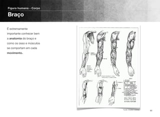 É extremamente
importante conhecer bem
a anatomia do braço e
como os osso e músculos
se comportam em cada
movimento.
Figura humana - Corpo
Braço
80Fonte: Andrew Loomis
 