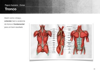 Assim como o braço,
entender bem a anatomia
do tronco é fundamental
para um bom resultado
Figura humana - Corpo
Tronco
85
 