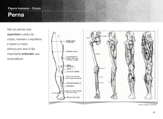 São as pernas que
suportam o peso do
corpo, mantem o equilibrio
e fazem o maior
esforço,por isso é tão
importante entender sua
musculatura
Figura humana - Corpo
Perna
90
Fonte: Andrew Loomis ©
 