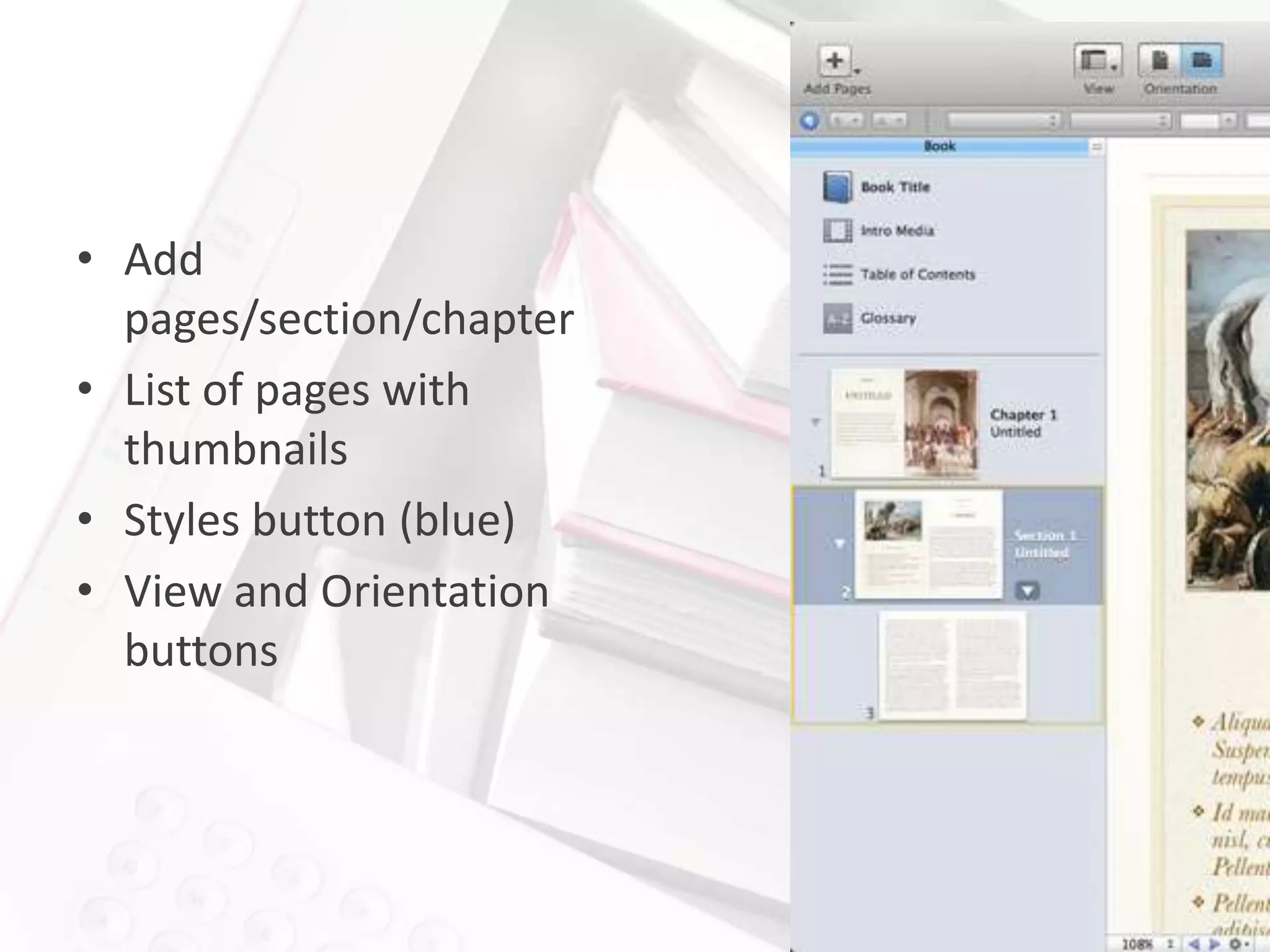 • Add
  pages/section/chapter
• List of pages with
  thumbnails
• Styles button (blue)
• View and Orientation
  buttons
 