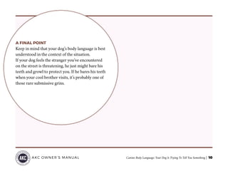 Canine Body Language: Your Dog Is Trying To Tell You Something | 10AKC OWNER’S MANUAL
A FINAL POINT
Keep in mind that your dog’s body language is best
understood in the context of the situation.
If your dog feels the stranger you’ve encountered
on the street is threatening, he just might bare his
teeth and growl to protect you. If he bares his teeth
when your cool brother visits, it’s probably one of
those rare submissive grins.
 