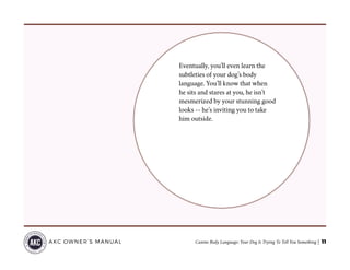Canine Body Language: Your Dog Is Trying To Tell You Something | 11AKC OWNER’S MANUAL
Eventually, you’ll even learn the
subtleties of your dog’s body
language. You’ll know that when
he sits and stares at you, he isn’t
mesmerized by your stunning good
looks -- he’s inviting you to take
him outside.
 