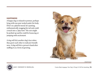 Canine Body Language: Your Dog Is Trying To Tell You Something | 4AKC OWNER’S MANUAL
HAPPINESS
A happy dog is relaxed in posture, perhaps
lying with one paw tucked under his body.
If he’s in a playful mood, he’s panting,
enthusiastically wagging his tail and could
crouch into a “play bow.” His ears might
be perked up and he could be bouncing or
jumping with excitement.
A dog will lick another dog’s face when
they greet each other to indicate friendli-
ness. A dog will lick a person’s hand after
sniffing it as a form of greeting.
©GlobalP/Thinkstock
 