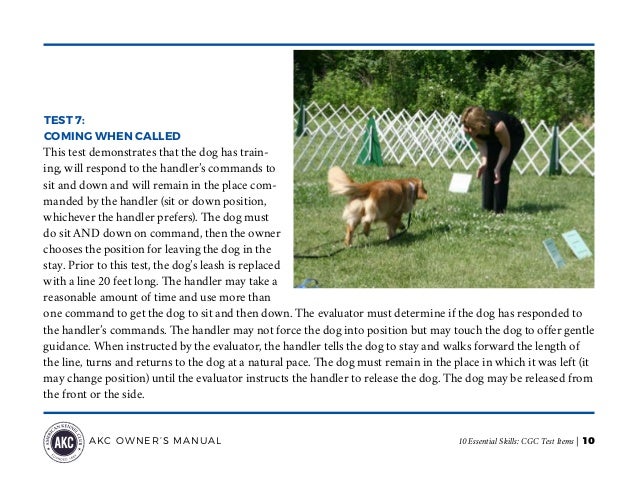 AKC Canine Good Citizen (CGC) Test Items