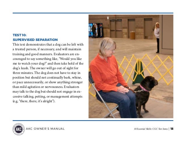 AKC Canine Good Citizen (CGC) Test Items
