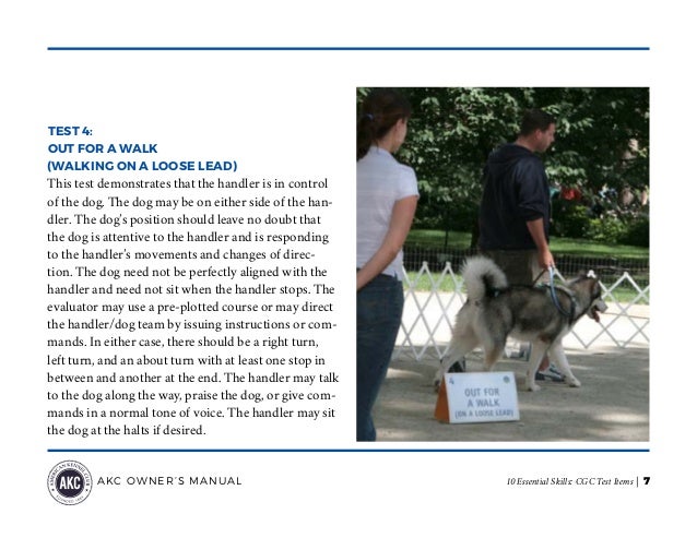 AKC Canine Good Citizen (CGC) Test Items