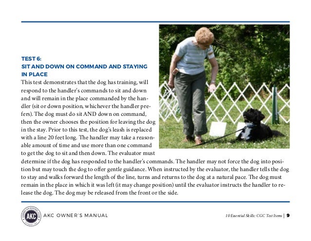 AKC Canine Good Citizen (CGC) Test Items