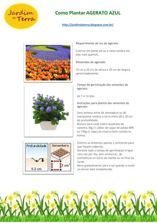 Como Plantar AGERATO AZUL
http://jardimdaterra.blogspot.com.br/
Requerimento de luz do agerato:
Cultivar em pleno sol ou a meia-sombra em
dias mais quentes.
Dimensões do agerado:
15 cm a 20 cm de altura e 20 cm de largura
aproximadamente.
Tempo de germinação das sementes de
agerato:
de 7 a 14 dias.
Instruções para plantio das sementes do
agerato:
Uma semana antes da semeadura ou do
transplante revolva a terra entre 20 e 30 cm
de profundidade.
Misture para cada metro quadrado de
canteiro 30g (1 colher de sopa) de adubo NPK
ou 150g (1 copo) de esterco bem curtido ou
húmus.
Enterre as sementes apenas o suficiente para
que fiquem cobertas.
Durante todo o tempo de germinação irrigue
uma vez por dia, sem encharcar, de
preferência no início da manhã ou no final da
tarde.
Mova gradualmente para o sol quando a muda
já estiver bem estabelecida.
 