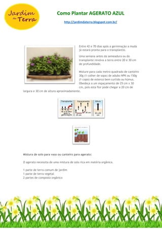 Como Plantar AGERATO AZUL
http://jardimdaterra.blogspot.com.br/
Entre 42 e 70 dias após a germinação a muda
já estará pronta para o transplantio.
Uma semana antes da semeadura ou do
transplante revolva a terra entre 20 e 30 cm
de profundidade.
Misture para cada metro quadrado de canteiro
30g (1 colher de sopa) de adubo NPK ou 150g
(1 copo) de esterco bem curtido ou húmus.
Obedeça a um espaçamento de 25 cm x 30
cm, pois esta flor pode chegar a 20 cm de
largura e 30 cm de altura aproximadamente.
Mistura de solo para vaso ou canteiro para agerato:
O agerato necessita de uma mistura de solo rica em matéria orgânica.
1 parte de terra comum de jardim
1 parte de terra vegetal
2 partes de composto orgânico
 