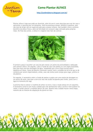 Como Plantar ALFACE
http://jardimdaterra.blogspot.com.br/
Plantar alface é algo que pode ser divertido, além de servir como desculpa para sair de casa e
aproveitar a natureza por um tempinho. Você economizará tempo, dinheiro e gasolina, pois
não terá de dirigir até um supermercado para comprar alfaces. Isso também trará o extremo
benefício da alface fresca, além da felicidade em consumir algo cultivado pelas próprias
mãos. No final das contas, a alface é o vegetal mais fácil de cultivar.
O primeiro passo é escolher um vaso de pelo menos um palmo de profundidade e adequado
para plantar alface. Em seguida, cubra o fundo do vaso com pedras ou com argila expandida,
para que haja uma boa drenagem da água, impedindo que a terra fique encharcada e
apodreça as raízes. Vasos de plástico costumam manter mais a umidade da terra do que os de
cerâmica por serem impermeáveis, então, caso não tenha muito tempo para regar, prefira os
de plástico.
Em seguida, é necessário cobrir o fundo de pedras e argila com uma manta de drenagem ou
um pouco de areia, para que a terra do vaso não acabe escapando pelo fundo, junto com a
água no momento da rega.
A próxima fase é colocar a mudinha de alface na terra. Caso a muda esteja em um saquinho,
é necessário cortá-lo com muito cuidado para não desmanchar todo o torrão e nem quebrar as
raízes, e então colocar a mudinha dentro do vaso. Quanto mais cuidado houver nesta etapa,
maiores são as chances de adaptação da planta ao vaso.
 