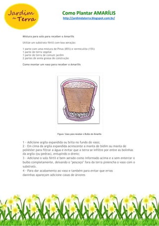 Como Plantar AMARÍLIS
http://jardimdaterra.blogspot.com.br/
Mistura para solo para receber o Amarílis
Utilize um substrato fértil com boa aeração:
1 parte com uma mistura de Pinus (85%) e vermiculita (15%)
1 parte de terra vegetal
1 parte de terra de comum jardim
2 partes de areia grossa de construção
Como montar um vaso para receber o Amarílis
Figura: Vaso para receber o Bulbo de Amarílis
1 - Adicione argila expandida ou brita no fundo do vaso;
2 - Em cima da argila expandida acrescente a manta de bidim ou manta de
poliéster para filtrar a água e evitar que a terra se infiltre por entre as bolinhas
da argila (ou pedras), entupindo o dreno;
3 - Adicione o solo fértil e bem aerado como informado acima e a sem enterrar o
bulbo completamente, deixando o "pescoço" fora da terra preencha o vaso com o
substrato.
4 - Para dar acabamento ao vaso e também para evitar que ervas
daninhas apareçam adicione casas de árvores
 