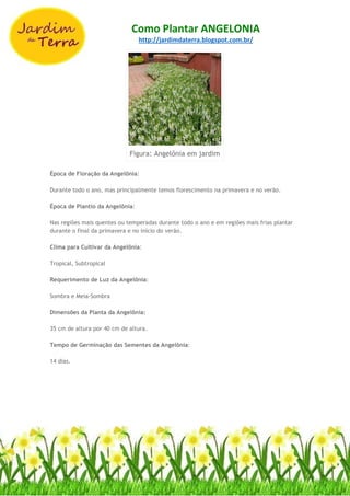 Como Plantar ANGELONIA
http://jardimdaterra.blogspot.com.br/
Figura: Angelônia em jardim
Época de Floração da Angelônia:
Durante todo o ano, mas principalmente temos florescimento na primavera e no verão.
Época de Plantio da Angelônia:
Nas regiões mais quentes ou temperadas durante todo o ano e em regiões mais frias plantar
durante o final da primavera e no início do verão.
Clima para Cultivar da Angelônia:
Tropical, Subtropical
Requerimento de Luz da Angelônia:
Sombra e Meia-Sombra
Dimensões da Planta da Angelônia:
35 cm de altura por 40 cm de altura.
Tempo de Germinação das Sementes da Angelônia:
14 dias.
 