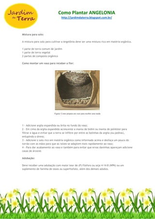 Como Plantar ANGELONIA
http://jardimdaterra.blogspot.com.br/
Mistura para solo:
A mistura para solo para cultivar a Angelônia deve ser uma mistura rica em matéria orgânica.
1 parte de terra comum de jardim
1 parte de terra vegetal
2 partes de composto orgânico
Como montar um vaso para receber a flor:
Figura: Como prepara um vaso para receber uma muda
1 - Adicione argila expandida ou brita no fundo do vaso;
2 - Em cima da argila expandida acrescente a manta de bidim ou manta de poliéster para
filtrar a água e evitar que a terra se infiltre por entre as bolinhas da argila (ou pedras),
entupindo o dreno;
3 - Adicione o solo rico em matéria orgânica como informado acima e desfaça um pouco do
torrão com as mãos para que as raízes se adaptem mais rapidamente ao vaso;
4 - Para dar acabamento ao vaso e também para evitar que ervas daninhas apareçam adicione
casas de árvores
Adubação:
Deve receber uma adubação com maior teor de (P) Fósforo ou seja 4-14-8 (NPK) ou um
suplemento de farinha de ossos ou superfosfato, além dos demais adubos.
 