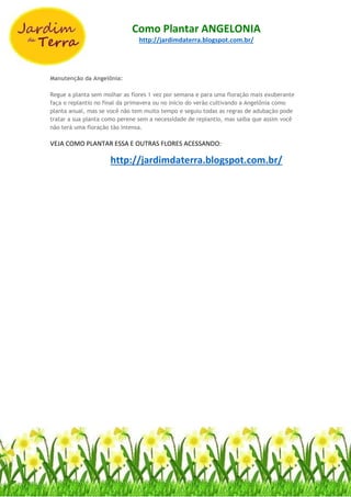 Como Plantar ANGELONIA
http://jardimdaterra.blogspot.com.br/
Manutenção da Angelônia:
Regue a planta sem molhar as flores 1 vez por semana e para uma floração mais exuberante
faça o replantio no final da primavera ou no início do verão cultivando a Angelônia como
planta anual, mas se você não tem muito tempo e seguiu todas as regras de adubação pode
tratar a sua planta como perene sem a necessidade de replantio, mas saiba que assim você
não terá uma floração tão intensa.
VEJA COMO PLANTAR ESSA E OUTRAS FLORES ACESSANDO:
http://jardimdaterra.blogspot.com.br/
 