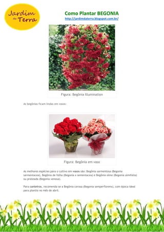 Como Plantar BEGONIA
http://jardimdaterra.blogspot.com.br/
Figura: Begônia Illumination
As begônias ficam lindas em vasos:
Figura: Begônia em vaso
As melhores espécies para o cultivo em vasos são: Begônia sarmentosa (Begonia
sarmentacea), Begônia de folha (Begonia x sementacea) e Begônia olmo (Begonia ulmifolia)
ou prateada (Begonia venosa).
Para canteiros, recomenda-se a Begônia cerosa (Begonia semperflorens), com época ideal
para plantio no mês de abril.
 