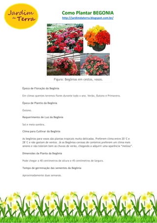 Como Plantar BEGONIA
http://jardimdaterra.blogspot.com.br/
Figura: Begônias em cestos, vasos.
Época de Floração da Begônia
Em climas quentes teremos flores durante todo o ano. Verão, Outono e Primavera.
Época de Plantio da Begônia
Outono.
Requerimento de Luz da Begônia
Sol e meia-sombra.
Clima para Cultivar da Begônia
As begônias para vasos são plantas tropicais muito delicadas. Preferem clima entre 20°C e
28°C e não gostam de ventos. Já as Begônias-cerosas de canteiros preferem um clima mais
ameno e não toleram bem as chuvas de verão, chegando a adquirir uma aparência “melosa”.
Dimensões da Planta da Begônia
Pode chegar a 40 centímetros de altura e 45 centímetros de largura.
Tempo de germinação das sementes da Begônia
Aproximadamente duas semanas.
 