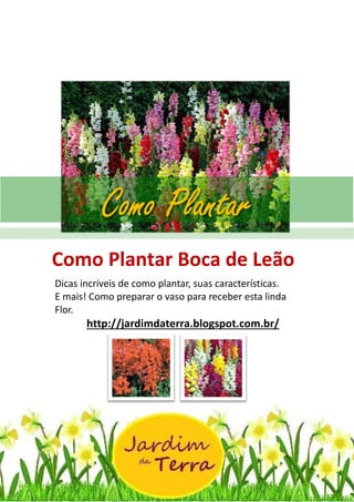 Como Plantar BOCA DE LEAO
http://jardimdaterra.blogspot.com.br/
Como Plantar Boca de Leão
Dicas incríveis de como plantar, suas características.
E mais! Como preparar o vaso para receber esta linda
Flor.
http://jardimdaterra.blogspot.com.br/
Como Plantar
 