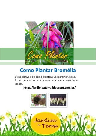 Como Plantar BROMÉLIA
http://jardimdaterra.blogspot.com.br/
Como Plantar Bromélia
Dicas incríveis de como plantar, suas características.
E mais! Como preparar o vaso para receber esta linda
Planta.
http://jardimdaterra.blogspot.com.br/
Como Plantar
 
