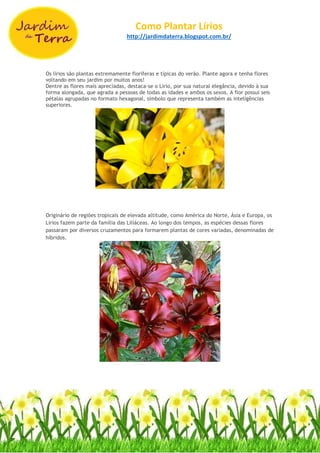 Como Plantar Lírios
http://jardimdaterra.blogspot.com.br/
Os lírios são plantas extremamente floríferas e típicas do verão. Plante agora e tenha flores
voltando em seu jardim por muitos anos!
Dentre as flores mais apreciadas, destaca-se o Lírio, por sua natural elegância, devido à sua
forma alongada, que agrada a pessoas de todas as idades e ambos os sexos. A flor possui seis
pétalas agrupadas no formato hexagonal, símbolo que representa também as inteligências
superiores.
Originário de regiões tropicais de elevada altitude, como América do Norte, Ásia e Europa, os
Lírios fazem parte da família das Liliáceas. Ao longo dos tempos, as espécies dessas flores
passaram por diversos cruzamentos para formarem plantas de cores variadas, denominadas de
híbridos.
 