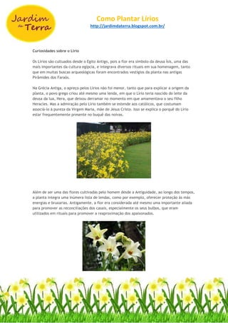 Como Plantar Lírios
http://jardimdaterra.blogspot.com.br/
Curiosidades sobre o Lírio
Os Lírios são cultuados desde o Egito Antigo, pois a flor era símbolo da deusa Ísis, uma das
mais importantes da cultura egípcia, e integrava diversos rituais em sua homenagem, tanto
que em muitas buscas arqueológicas foram encontrados vestígios da planta nas antigas
Pirâmides dos Faraós.
Na Grécia Antiga, o apreço pelos Lírios não foi menor, tanto que para explicar a origem da
planta, o povo grego criou até mesmo uma lenda, em que o Lírio teria nascido do leite da
deusa da lua, Hera, que deixou derramar no momento em que amamentava o seu filho
Heracles. Mas a admiração pelo Lírio também se estende aos católicos, que costumam
associá-lo à pureza da Virgem Maria, mãe de Jesus Cristo. Isso se explica o porquê do Lírio
estar frequentemente presente no buquê das noivas.
Além de ser uma das flores cultivadas pelo homem desde a Antiguidade, ao longo dos tempos,
a planta integra uma inúmera lista de lendas, como por exemplo, oferecer proteção às más
energias e bruxarias. Antigamente, a flor era considerada até mesmo uma importante aliada
para promover as reconciliações dos casais, especialmente os seus bulbos, que eram
utilizados em rituais para promover a reaproximação dos apaixonados.
 