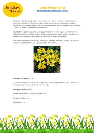 Como Plantar Lírios
http://jardimdaterra.blogspot.com.br/
Em locais muito quentes é possível que a planta não retorne novamente no ano seguinte -
Como são originárias de clima temperado, o ciclo destas plantas envolve diferenças de
temperaturas no verão e inverno. Por este motivo é possível que nas regiões Norte e Nordeste
a planta só floresça uma vez e não retorne mais.
Quando bem adaptados, os lírios se propagam rapidamente e em alguns anos formam uma
colônia que pode ser dividida para ser usada em outras partes do seu jardim! A cada ano as
plantas ficam mais vigorosas e floríferas, e geralmente duram por décadas.
Uma característica dos lírios é que o bulbo nunca entra em dormência completa, e por isso é
extremamente importante que sejam plantados de imediato.
Época de Floração do Lírio
A época de floração varia muito de acordo com o clima e cada variedade, mas a maioria irá
florescer entre o fim da primavera e fim do verão.
Época de Plantio do Lírio
Podem ser plantados a qualquer época do ano
Requerimento de Luz
Meia-sombra, Sol
 