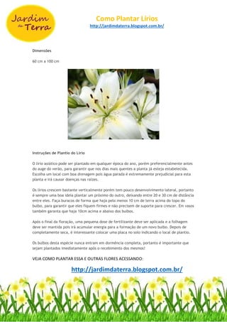 Como Plantar Lírios
http://jardimdaterra.blogspot.com.br/
Dimensões
60 cm a 100 cm
Instruções de Plantio do Lírio
O lírio asiático pode ser plantado em qualquer época do ano, porém preferencialmente antes
do auge do verão, para garantir que nos dias mais quentes a planta já esteja estabelecida.
Escolha um local com boa drenagem pois água parada é extremamente prejudicial para esta
planta e irá causar doenças nas raízes.
Os lírios crescem bastante verticalmente porém tem pouco desenvolvimento lateral, portanto
é sempre uma boa ideia plantar um próximo do outro, deixando entre 20 e 30 cm de distância
entre eles. Faça buracos de forma que haja pelo menos 10 cm de terra acima do topo do
bulbo, para garantir que eles fiquem firmes e não precisem de suporte para crescer. Em vasos
também garanta que haja 10cm acima e abaixo dos bulbos.
Após o final da floração, uma pequena dose de fertilizante deve ser aplicada e a folhagem
deve ser mantida pois irá acumular energia para a formação de um novo bulbo. Depois de
completamente seca, é interessante colocar uma placa no solo indicando o local de plantio.
Os bulbos desta espécie nunca entram em dormência completa, portanto é importante que
sejam plantados imediatamente após o recebimento dos mesmos!
VEJA COMO PLANTAR ESSA E OUTRAS FLORES ACESSANDO:
http://jardimdaterra.blogspot.com.br/
 