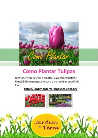 Como Plantar Tulipas
http://jardimdaterra.blogspot.com.br/
Como Plantar Tulipas
Dicas incríveis de como plantar, suas características.
E mais! Como preparar o vaso para receber esta linda
Flor.
http://jardimdaterra.blogspot.com.br/
Como Plantar
 