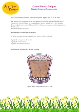 Como Plantar Tulipas
http://jardimdaterra.blogspot.com.br/
Instruções para o plantio dos Bulbos de Tulipa nas regiões mais ao sul do Brasil
Nas regiões mais ao sul do Brasil as estações são bem mais definidas e podemos cultivar
Tulipas com mais facilidade. No início do Outono prepare um solo fofo e bem drenado.
Enterre o bolbo a uma profundidade de 15 cm. Não esqueça de deixar os brotos para cima e
fora da terra.
Regue sem encharcar a planta.
Mistura para solo para vaso ou canteiro
A Tulipa necessita de uma mistura de solo rica em matéria orgânica.
1 parte de terra comum de jardim
1 parte de terra vegetal
2 partes de composto orgânico
Como montar um vaso para receber a Tulipa
Figura: Vaso para plantio de Tulipas
 