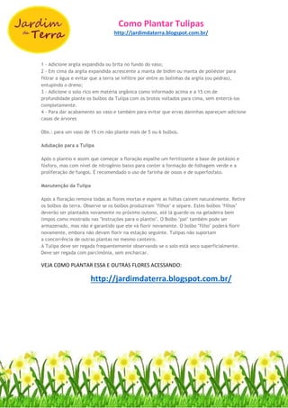 Como Plantar Tulipas
http://jardimdaterra.blogspot.com.br/
1 - Adicione argila expandida ou brita no fundo do vaso;
2 - Em cima da argila expandida acrescente a manta de bidim ou manta de poliéster para
filtrar a água e evitar que a terra se infiltre por entre as bolinhas da argila (ou pedras),
entupindo o dreno;
3 - Adicione o solo rico em matéria orgânica como informado acima e a 15 cm de
profundidade plante os bulbos da Tulipa com os brotos voltados para cima, sem enterrá-los
completamente.
4 - Para dar acabamento ao vaso e também para evitar que ervas daninhas apareçam adicione
casas de árvores
Obs.: para um vaso de 15 cm não plante mais de 5 ou 6 bulbos.
Adubação para a Tulipa
Após o plantio e assim que começar a floração espalhe um fertilizante a base de potássio e
fósforo, mas com nível de nitrogênio baixo para conter a formação de folhagem verde e a
proliferação de fungos. É recomendado o uso de farinha de ossos e de superfosfato.
Manutenção da Tulipa
Após a floração remova todas as flores mortas e espere as folhas caírem naturalmente. Retire
os bolbos da terra. Observe se os bolbos produziram "filhos" e separe. Estes bolbos "filhos"
deverão ser plantados novamente no próximo outono, até lá guarde-os na geladeira bem
limpos como mostrado nas "Instruções para o plantio". O Bolbo "pai" também pode ser
armazenado, mas não é garantido que ele vá florir novamente. O bolbo "filho" poderá florir
novamente, embora não devam florir na estação seguinte. Tulipas não suportam
a concorrência de outras plantas no mesmo canteiro.
A Tulipa deve ser regada frequentemente observando se o solo está seco superficialmente.
Deve ser regada com parcimônia, sem encharcar.
VEJA COMO PLANTAR ESSA E OUTRAS FLORES ACESSANDO:
http://jardimdaterra.blogspot.com.br/
 