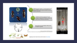 Esta Foto de Autor Desconhecido está licenciado em CC BY-SA
 