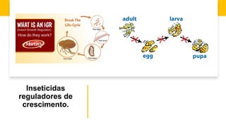 Inseticidas
reguladores de
crescimento.
 