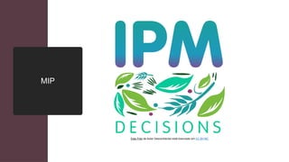 MIP
Esta Foto de Autor Desconhecido está licenciado em CC BY-NC
 