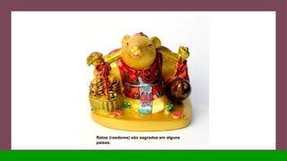 Ratos (roedores) são sagrados em alguns
países.
 