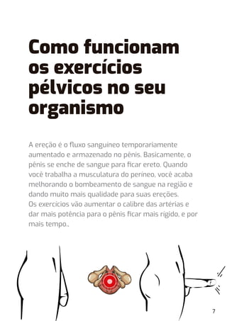 A ereção é o ﬂuxo sanguíneo temporariamente
aumentado e armazenado no pênis. Basicamente, o
pênis se enche de sangue para ﬁcar ereto. Quando
você trabalha a musculatura do períneo, você acaba
melhorando o bombeamento de sangue na região e
dando muito mais qualidade para suas ereções.
Os exercícios vão aumentar o calibre das artérias e
dar mais potência para o pênis ﬁcar mais rígido, e por
mais tempo.,
7
Como funcionam
os exercícios
pélvicos no seu
organismo
 