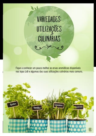 Variedades:
Utilizações
culinárias
Fique a conhecer um pouco melhor as ervas aromáticas disponíveis
nas lojas Lidl e algumas das suas utilizações culinárias mais comuns.
12.
 