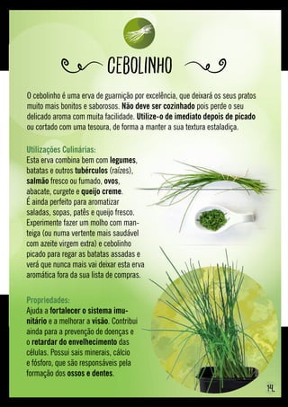O cebolinho é uma erva de guarnição por excelência, que deixará os seus pratos
muito mais bonitos e saborosos. Não deve ser cozinhado pois perde o seu
delicado aroma com muita facilidade. Utilize-o de imediato depois de picado
ou cortado com uma tesoura, de forma a manter a sua textura estaladiça.
Cebolinho
Propriedades:
Ajuda a fortalecer o sistema imu-
nitário e a melhorar a visão. Contribui
ainda para a prevenção de doenças e
o retardar do envelhecimento das
células. Possui sais minerais, cálcio
e fósforo, que são responsáveis pela
formação dos ossos e dentes.
Utilizações Culinárias:
Esta erva combina bem com legumes,
batatas e outros tubérculos (raízes),
salmão fresco ou fumado, ovos,
abacate, curgete e queijo creme.
É ainda perfeito para aromatizar
saladas, sopas, patês e queijo fresco.
Experimente fazer um molho com man-
teiga (ou numa vertente mais saudável
com azeite virgem extra) e cebolinho
picado para regar as batatas assadas e
verá que nunca mais vai deixar esta erva
aromática fora da sua lista de compras.
14.
 