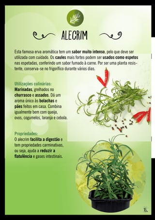 Esta famosa erva aromática tem um sabor muito intenso, pelo que deve ser
utilizada com cuidado. Os caules mais fortes podem ser usados como espetos
nas espetadas, conferindo um sabor fumado à carne. Por ser uma planta resis-
tente, conserva-se no frigorífico durante vários dias.
Alecrim
Propriedades: 
O alecrim facilita a digestão e
tem propriedades carminativas,
ou seja, ajuda a reduzir a
flatulência e gases intestinais.
Utilizações culinárias: 
Marinadas, grelhados no
churrasco e assados. Dá um
aroma único às bolachas e
pães feitos em casa. Combina
igualmente bem com queijo,
ovos, cogumelos, laranja e cebola.
16.
 