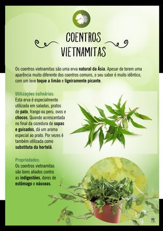 Coentros
Vietnamitas
19.
Os coentros vietnamitas são uma erva natural da Ásia. Apesar de terem uma
aparência muito diferente dos coentros comuns, o seu sabor é muito idêntico,
com um leve toque a limão e ligeiramente picante.
Propriedades: 
Os coentros vietnamitas
são bons aliados contra
as indigestões, dores de
estômago e náuseas.
Utilizações culinárias:
Esta erva é especialmente
utilizada em saladas, pratos
de pato, frango ou peru, ovos e
chocos. Quando acrescentada
no final da cozedura de sopas
e guisados, dá um aroma
especial ao prato. Por vezes é
também utilizada como
substituta da hortelã.
 