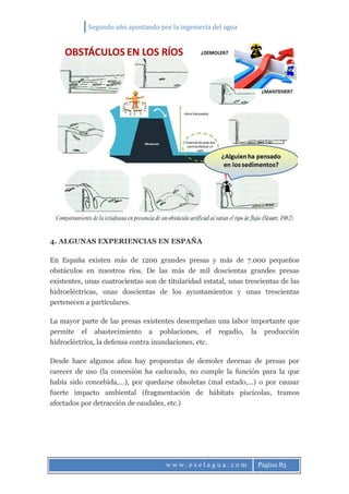 Segundo año apostando por la ingeniería del agua
w w w . e s e l a g u a . c o m Página 83
4. ALGUNAS EXPERIENCIAS EN ESPAÑA
En España existen más de 1200 grandes presas y más de 7.000 pequeños
obstáculos en nuestros ríos. De las más de mil doscientas grandes presas
existentes, unas cuatrocientas son de titularidad estatal, unas trescientas de las
hidroeléctricas, unas doscientas de los ayuntamientos y unas trescientas
pertenecen a particulares.
La mayor parte de las presas existentes desempeñan una labor importante que
permite el abastecimiento a poblaciones, el regadío, la producción
hidroeléctrica, la defensa contra inundaciones, etc.
Desde hace algunos años hay propuestas de demoler decenas de presas por
carecer de uso (la concesión ha caducado, no cumple la función para la que
había sido concebida,…), por quedarse obsoletas (mal estado,…) o por causar
fuerte impacto ambiental (fragmentación de hábitats piscícolas, tramos
afectados por detracción de caudales, etc.)
 