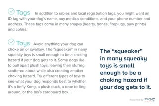 Tags		 In addition to rabies and local registration tags, you might want an
ID tag with your dog’s name, any medical condi...