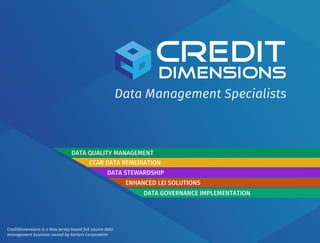 DATA QUALITY MANAGEMENT
Data Management Specialists
CCAR DATA REMEDIATION
DATA STEWARDSHIP
ENHANCED LEI SOLUTIONS
DATA GOVERNANCE IMPLEMENTATION
CreditDimensions is a New Jersey based full source data
management business owned by Xoriant Corporation
 