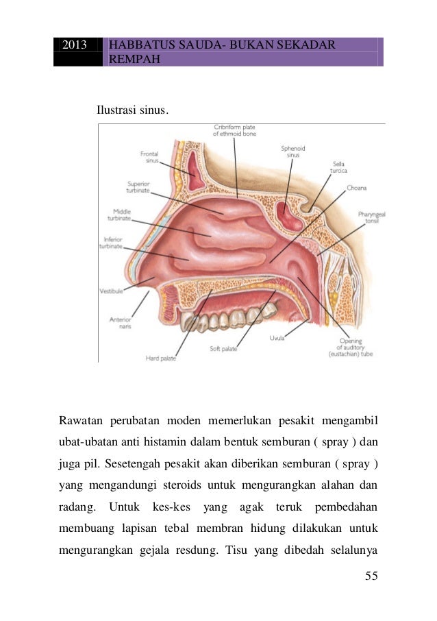 Habbatus Sauda Bukan Sekadar Rempah