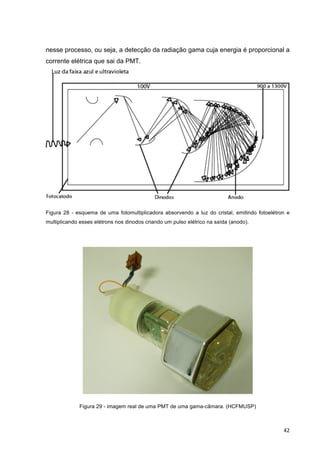   42	
  
nesse processo, ou seja, a detecção da radiação gama cuja energia é proporcional a
corrente elétrica que sai da PMT.
Figura 28 - esquema de uma fotomultiplicadora absorvendo a luz do cristal, emitindo fotoelétron e
multiplicando esses elétrons nos dinodos criando um pulso elétrico na saída (anodo).
	
  
Figura 29 - imagem real de uma PMT de uma gama-câmara. (HCFMUSP)
 