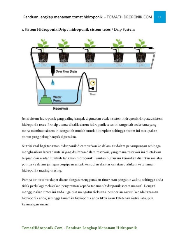 iEbooki menanam tomat ihidroponiki