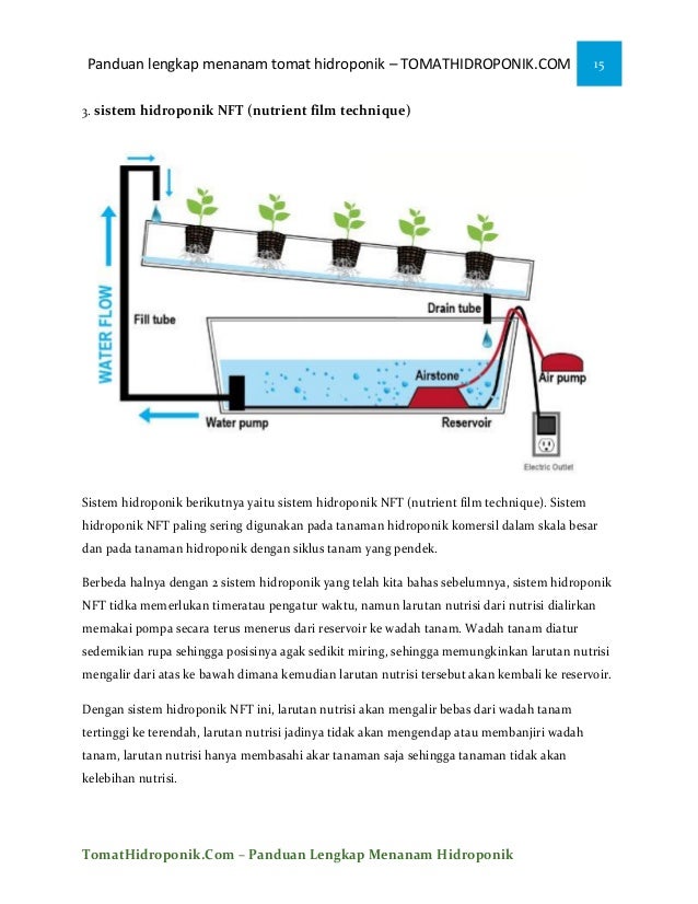 iEbooki menanam tomat ihidroponiki