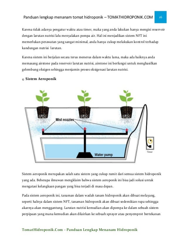 iEbooki menanam tomat ihidroponiki