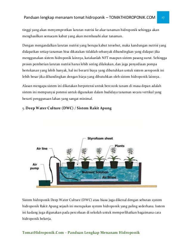 iEbooki menanam tomat ihidroponiki