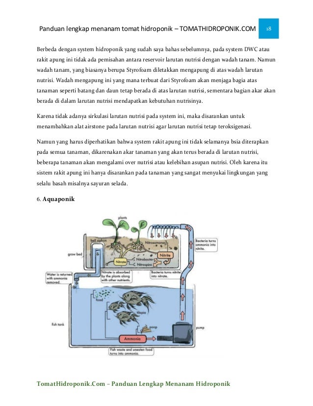 iEbooki menanam tomat ihidroponiki