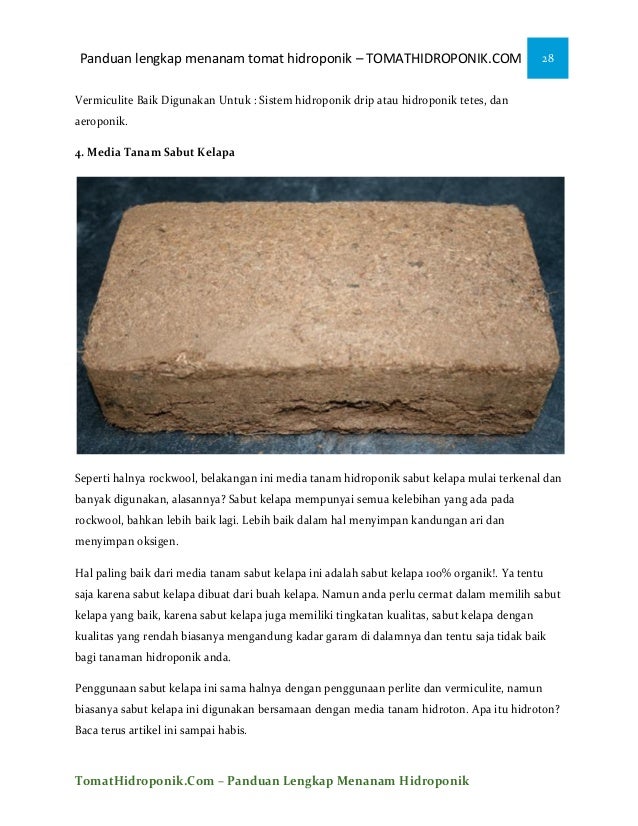 iEbooki menanam tomat ihidroponiki